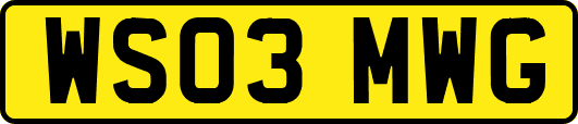 WS03MWG