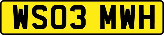 WS03MWH