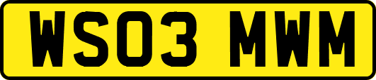 WS03MWM