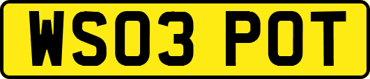 WS03POT