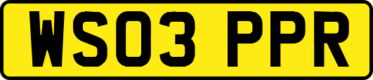 WS03PPR