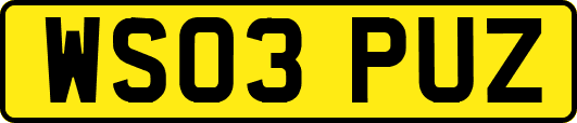 WS03PUZ