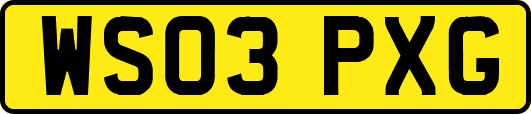 WS03PXG