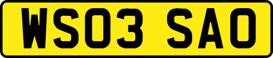 WS03SAO