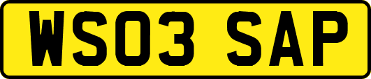 WS03SAP