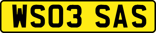 WS03SAS