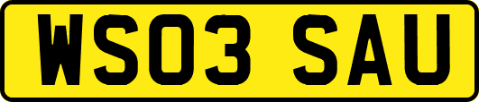 WS03SAU