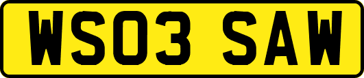 WS03SAW