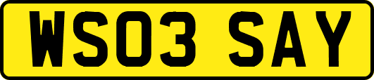 WS03SAY