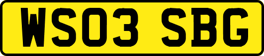 WS03SBG