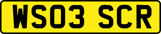 WS03SCR