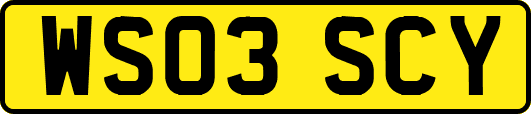 WS03SCY