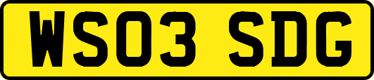 WS03SDG