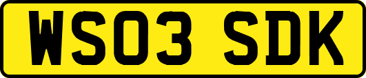 WS03SDK