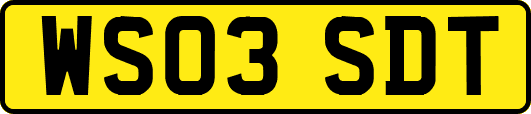 WS03SDT