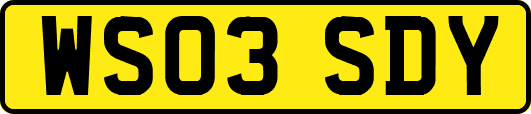 WS03SDY