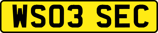 WS03SEC