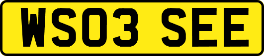 WS03SEE