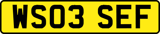 WS03SEF