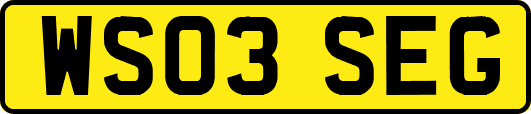 WS03SEG