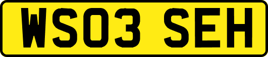 WS03SEH