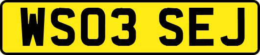 WS03SEJ