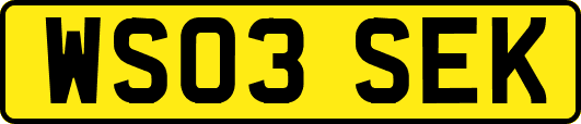 WS03SEK
