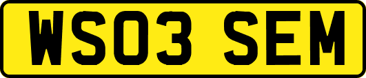 WS03SEM