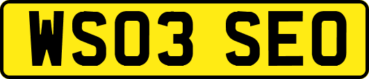 WS03SEO