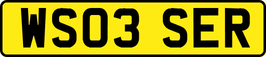 WS03SER