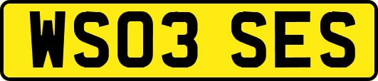 WS03SES