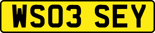 WS03SEY