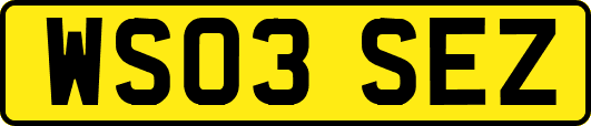 WS03SEZ