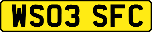 WS03SFC