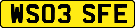 WS03SFE