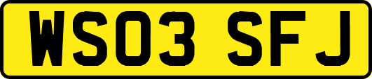 WS03SFJ