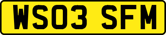 WS03SFM