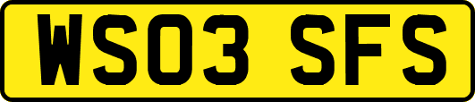 WS03SFS