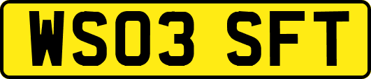 WS03SFT