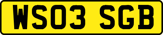 WS03SGB