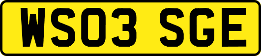 WS03SGE