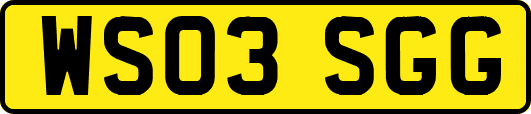 WS03SGG