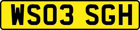 WS03SGH