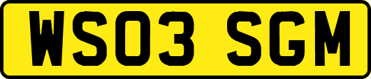 WS03SGM