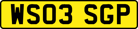 WS03SGP