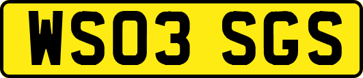 WS03SGS