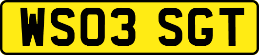 WS03SGT