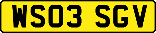 WS03SGV