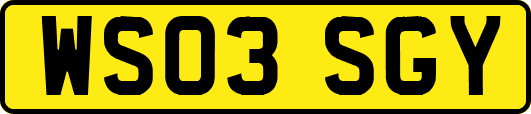 WS03SGY