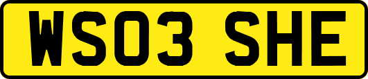 WS03SHE